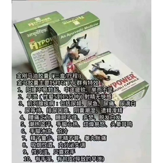 金刚马油胶囊 综合调理的天花板 30粒/盒 每天一粒