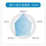 蓝P （万艾可）小蓝片 经典款 大厂出品